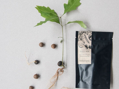 Botanopia Mixed seeds for germination