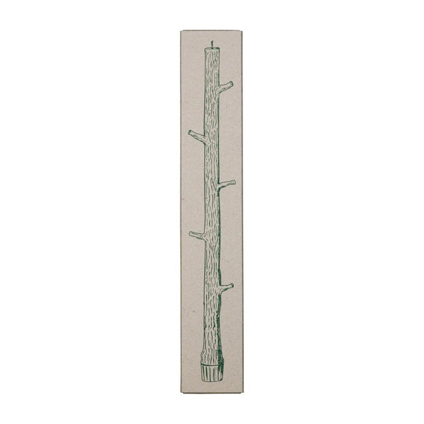 Branch Candle - Terre Verte