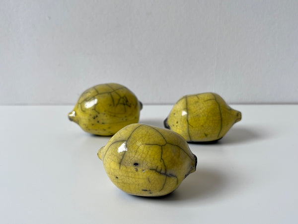 Raku Fired Still Life Ceramics - 🍋