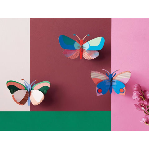 Butterfly - Hapi (Medium)