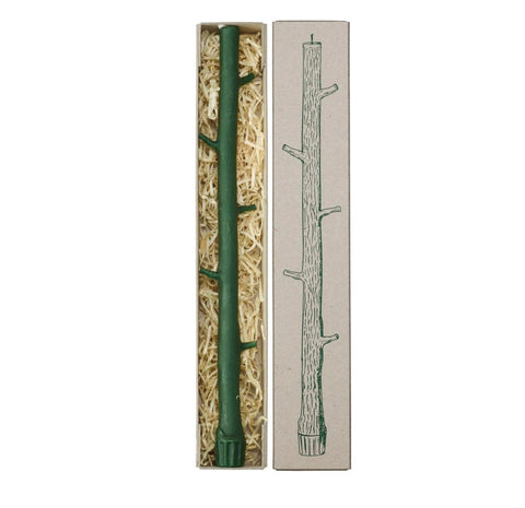 Branch Candle - Terre Verte