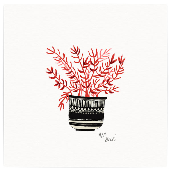 Coral Pot Giclée Print Limited Edition  - only 1 available