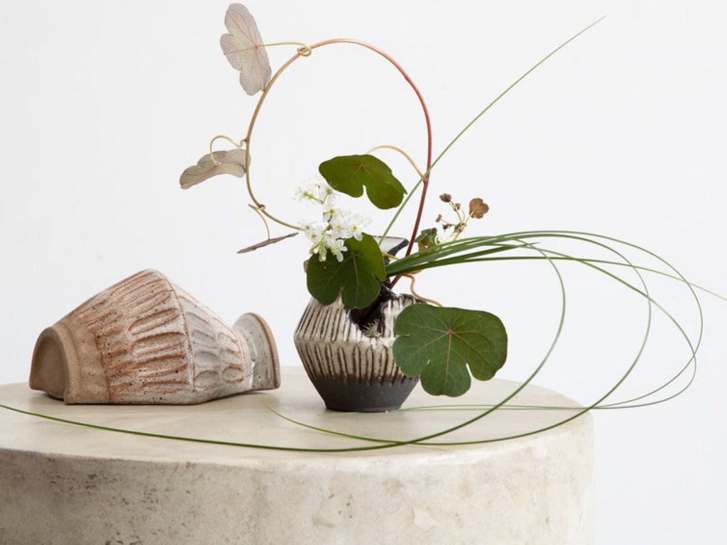 Ikebana Unbound Onion Studio