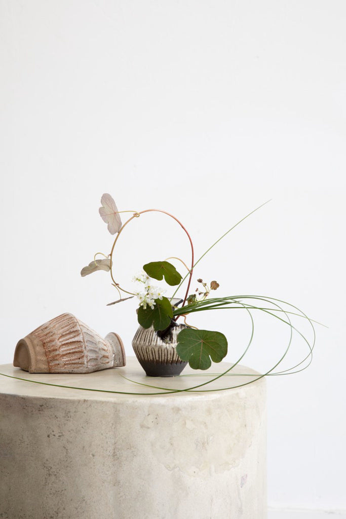 Ikebana Unbound Onion Studio