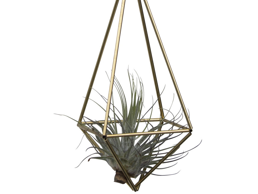DIY Himmeli Drop Small