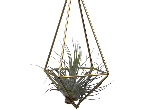 DIY Himmeli Drop Small