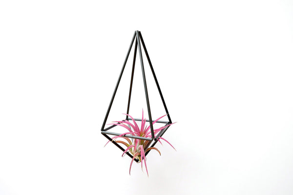 DIY Himmeli Drop Small
