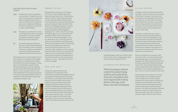 Everlastings: How to Grow, Harvest and Create with Dried Flowers