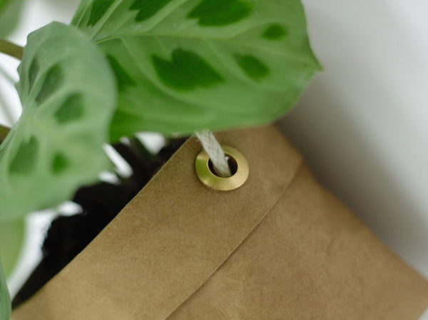 Hanging Planter Sasso - Medium