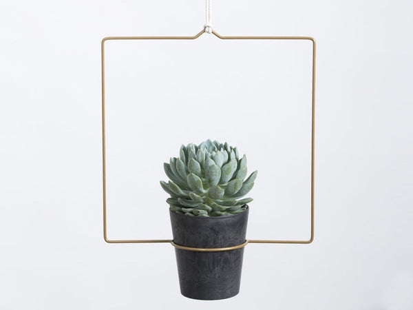 Hanging Planter  - Quadra
