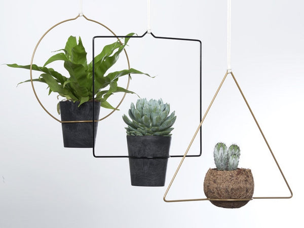 Hanging Planter  - Quadra