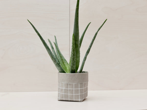 Grid on Grey Planter - Medium