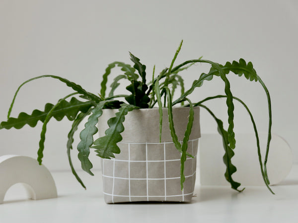 Grid on Grey Planter - Medium