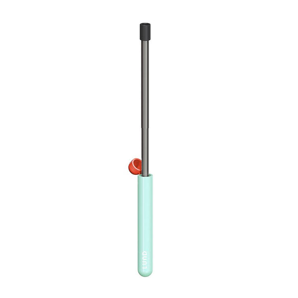 Skittle Straw for life Mint and Coral Case - Reusable