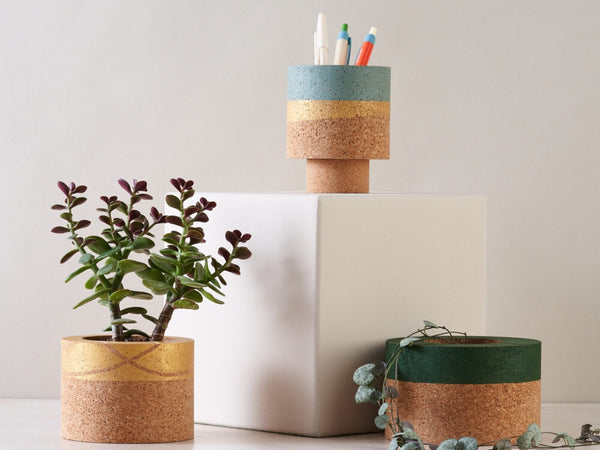Helki Fern Planter