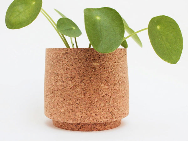 Cork Planter - Atlas