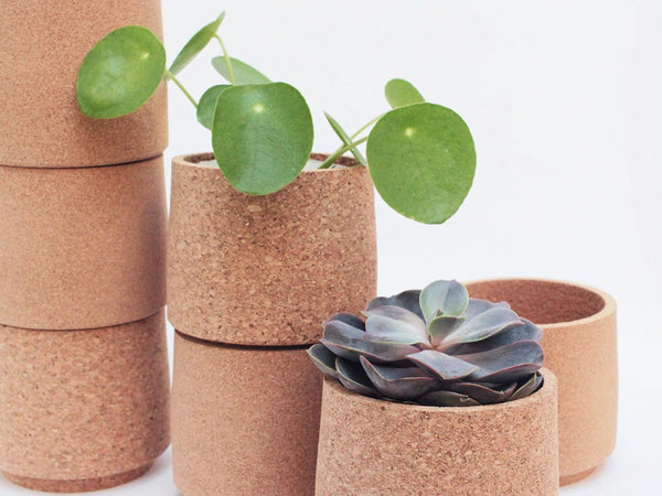 Cork Planter - Atlas