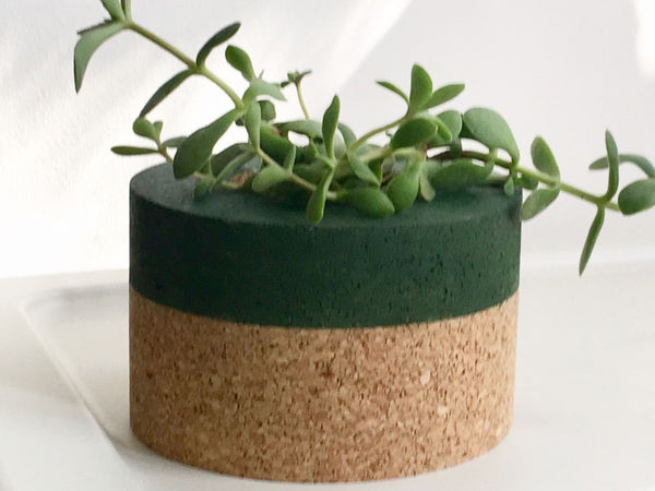 Helki Fern Planter