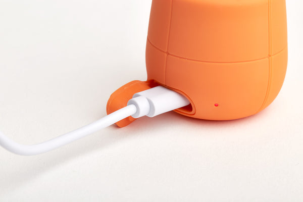 Lexon MINO X - Orange Water resistant