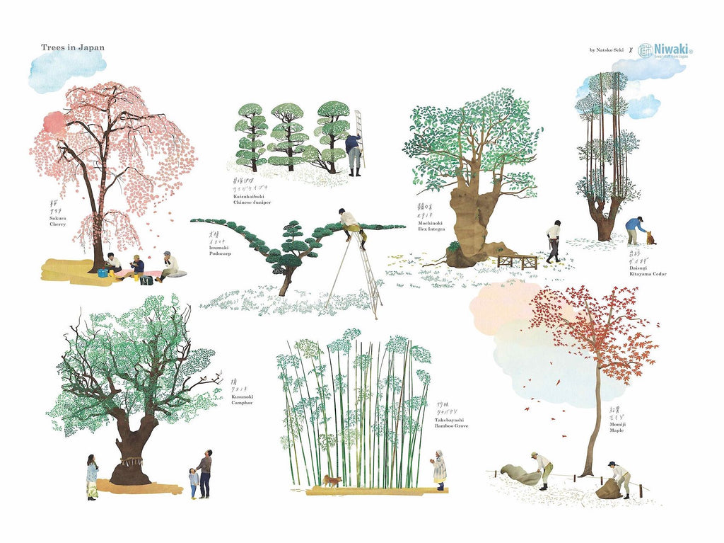 Niwaki Trees in Japan Poster by Natsko Seki