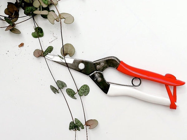 Okatsune No. 304 Snips - Long blade suitable for soft stems