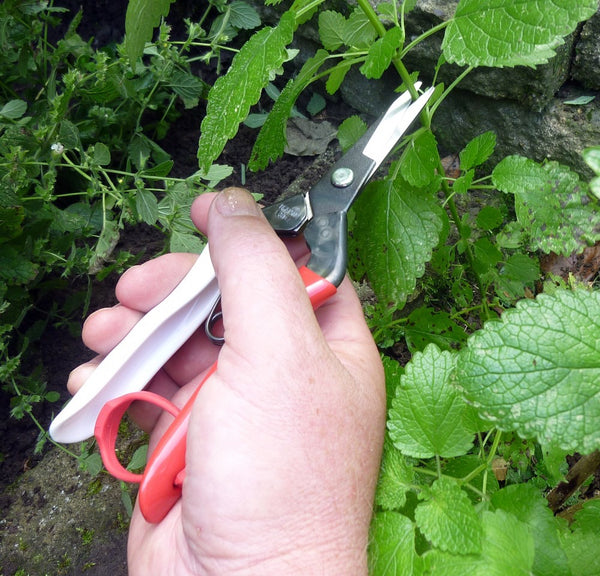 Okatsune No. 304 Snips - Long blade suitable for soft stems
