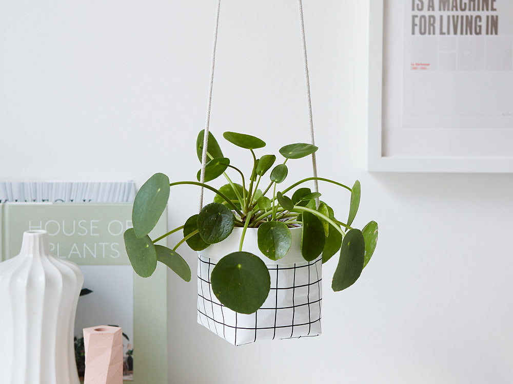 hanging plant grid Hanging Planter