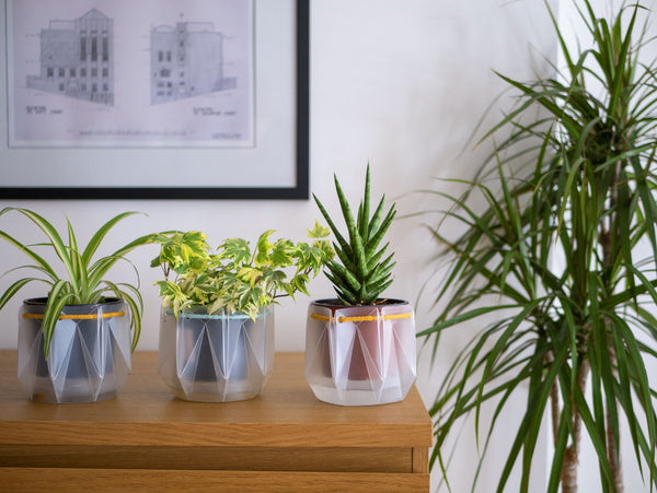 Self-watering Origami Planter - Yellow