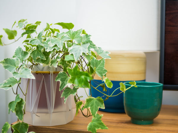 Self-watering Origami Planter - Yellow