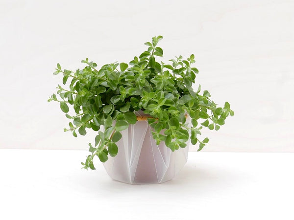 Self-watering Origami Planter - Yellow