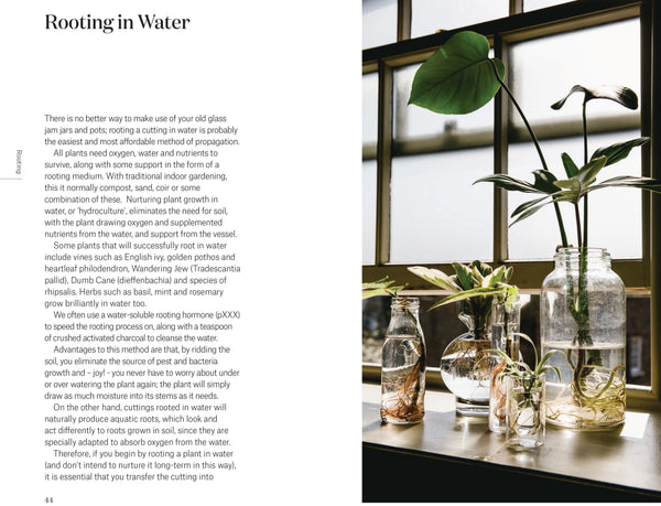 Root, Nurture, Grow: The Essential Guide to Propagating and Sharing Houseplants