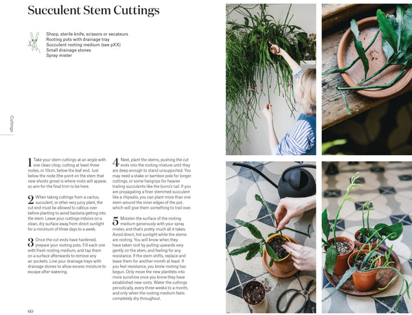 Root, Nurture, Grow: The Essential Guide to Propagating and Sharing Houseplants