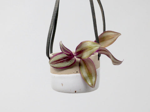 Ceramic Hanging Planter White Small