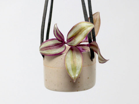 Ceramic Hanging Planter Natural Small