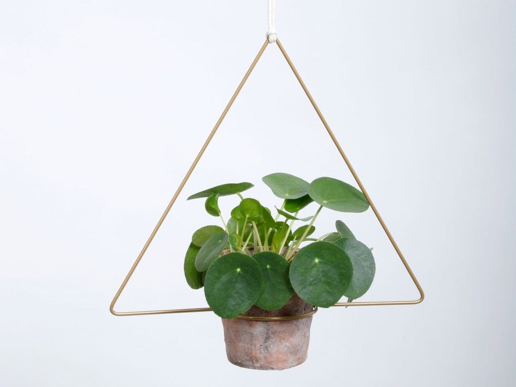 Hanging Planter - Triangula