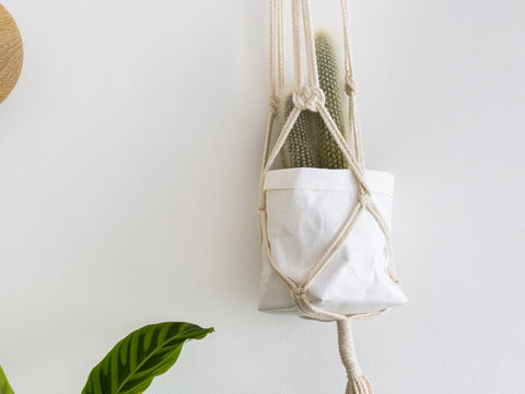 Sasso Sack Medium