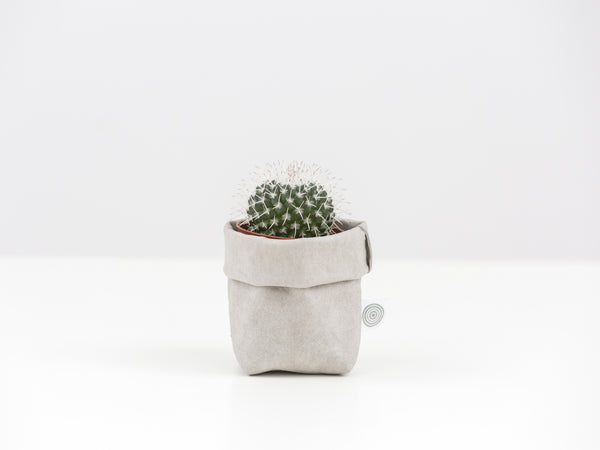 Cactus Mini with Sack