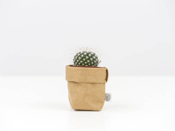 Cactus Mini with Sack